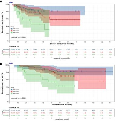Preoperative Breast Immune Prognostic Index as Prognostic Factor Predicts the Clinical Outcomes of Breast Cancer Patients Receiving Neoadjuvant Chemotherapy
